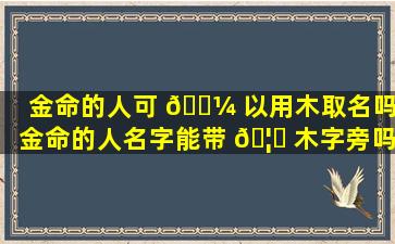 金命的人可 🐼 以用木取名吗(金命的人名字能带 🦄 木字旁吗)